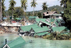 Le risque tsunami