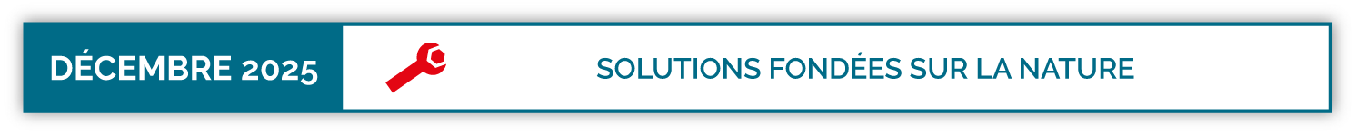 Solutions fondées sur la nature
